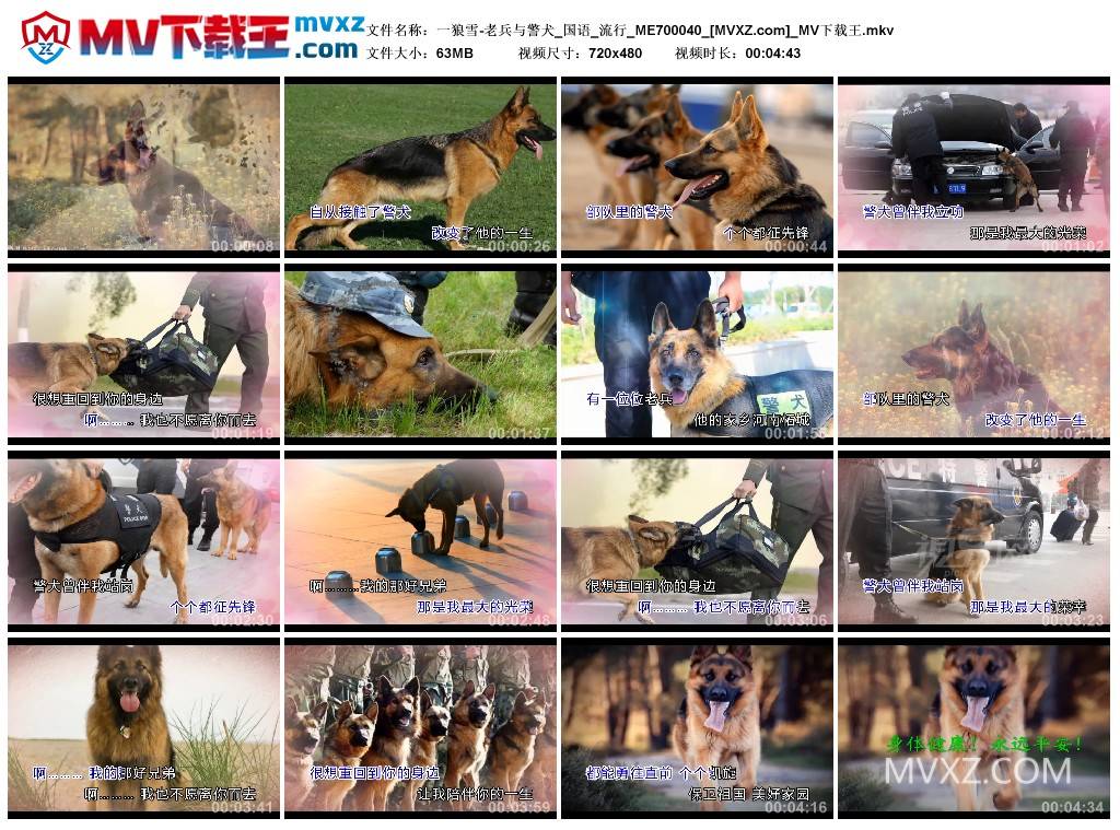 一狼雪-老兵与警犬_国语_流行_ME700040